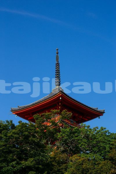 Big with watermark image