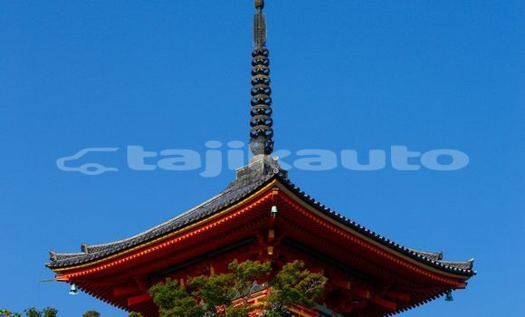 Medium with watermark image