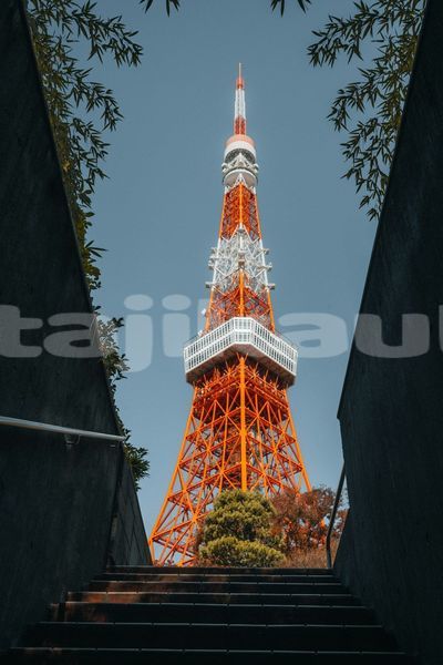 Big with watermark image