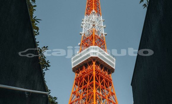 Medium with watermark image