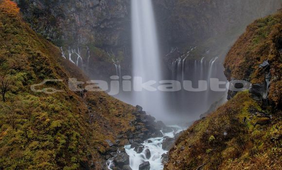 Medium with watermark image
