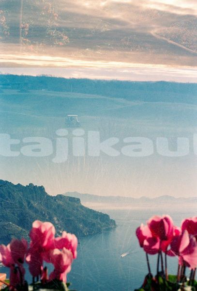 Big with watermark image