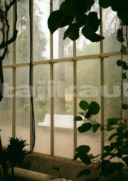 Big with watermark image