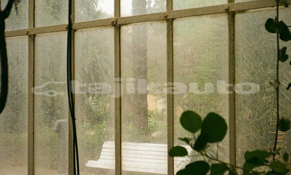 Medium with watermark image