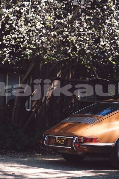 Big with watermark image