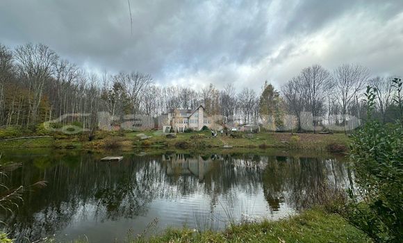 Medium with watermark image
