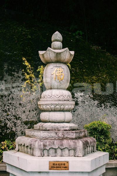 Big with watermark image