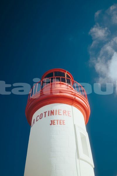 Big with watermark image
