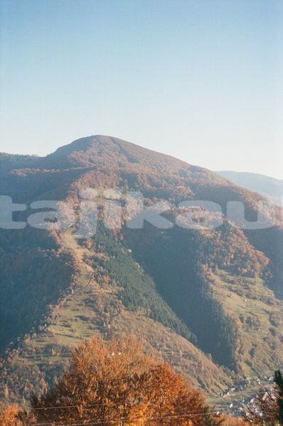 Big with watermark image