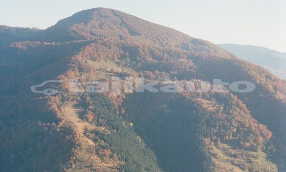 Medium with watermark image