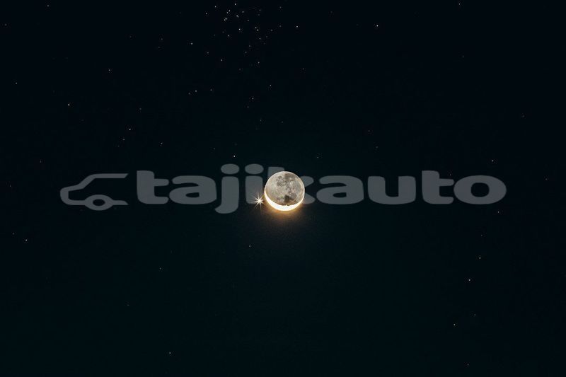 Big with watermark image