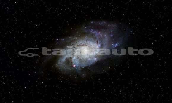 Medium with watermark image