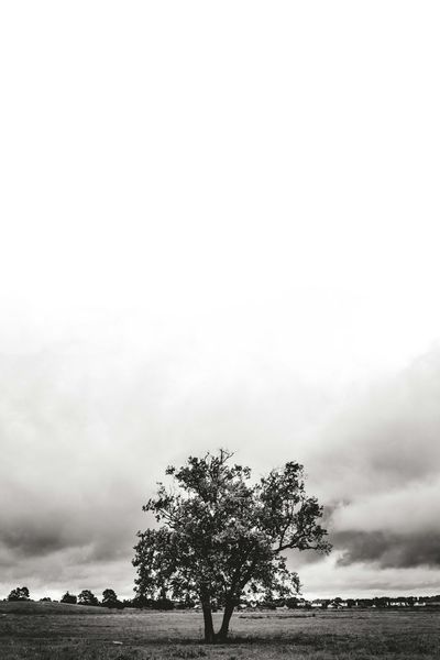 Big with watermark image