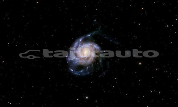 Medium with watermark image