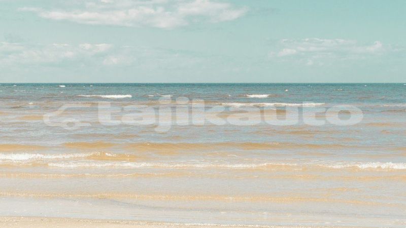 Big with watermark image