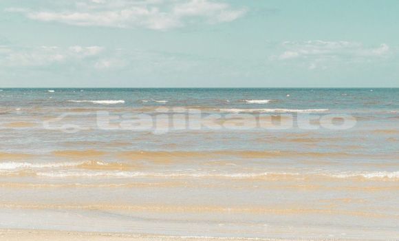 Medium with watermark image