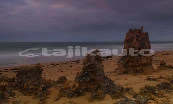 Medium with watermark image