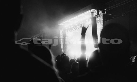 Medium with watermark image