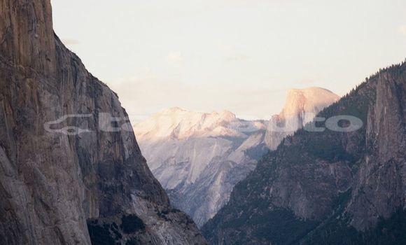 Medium with watermark image