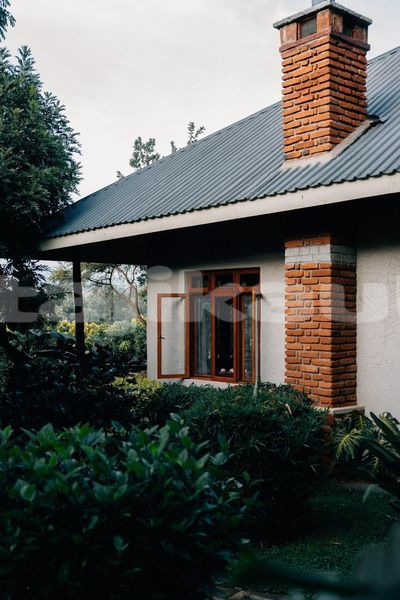 Big with watermark image