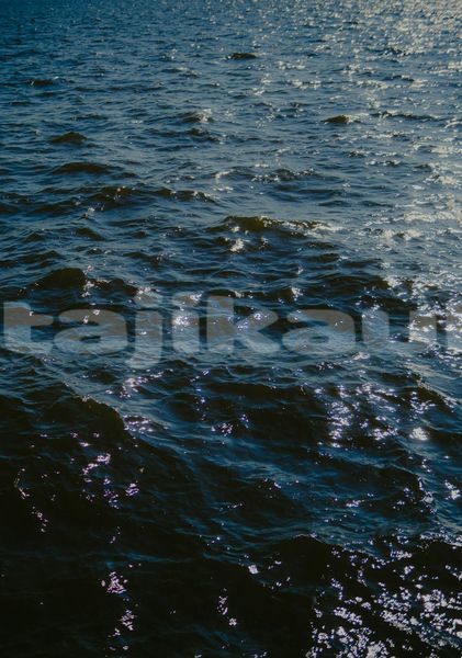 Big with watermark image