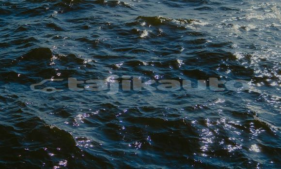 Medium with watermark image
