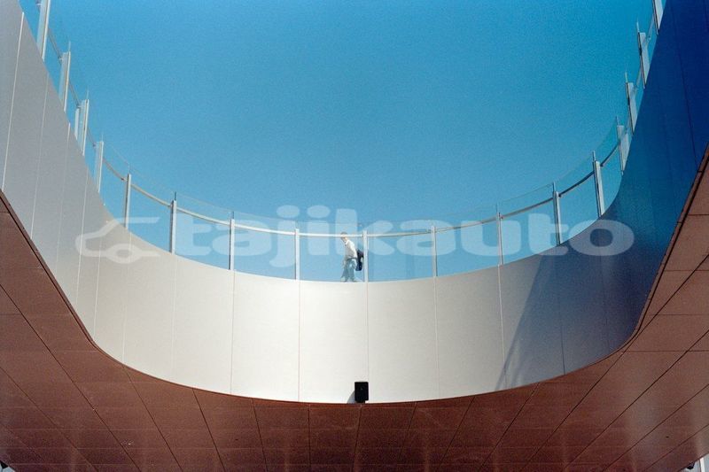 Big with watermark image