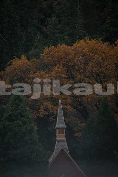 Big with watermark image