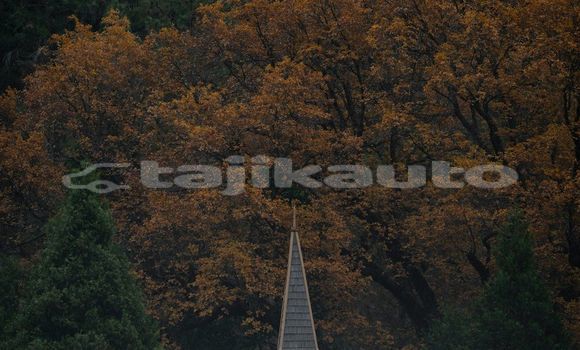 Medium with watermark image