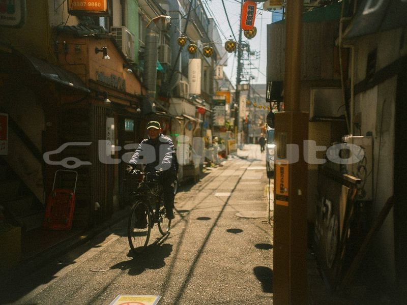 Big with watermark image