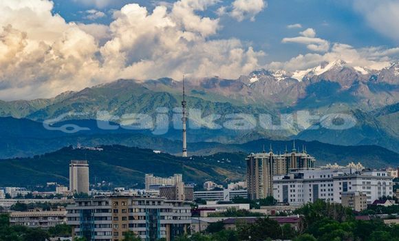 Medium with watermark image