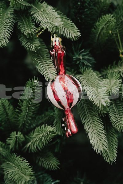 Big with watermark image