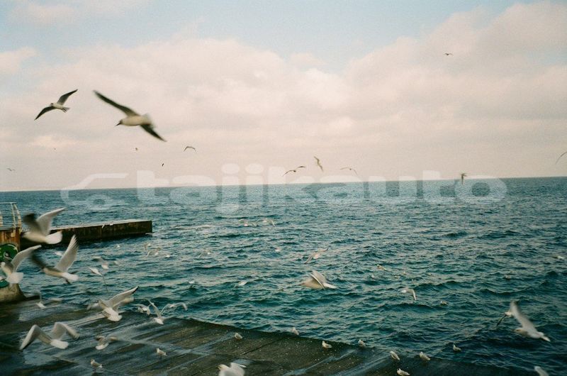 Big with watermark image