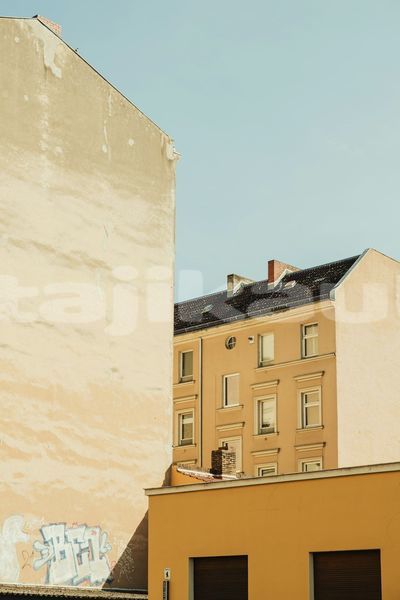 Big with watermark image