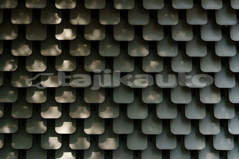 Big with watermark image