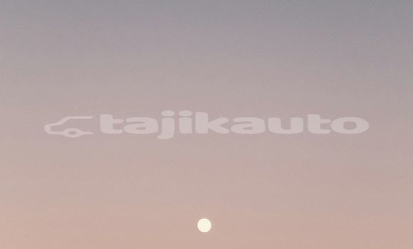 Medium with watermark image