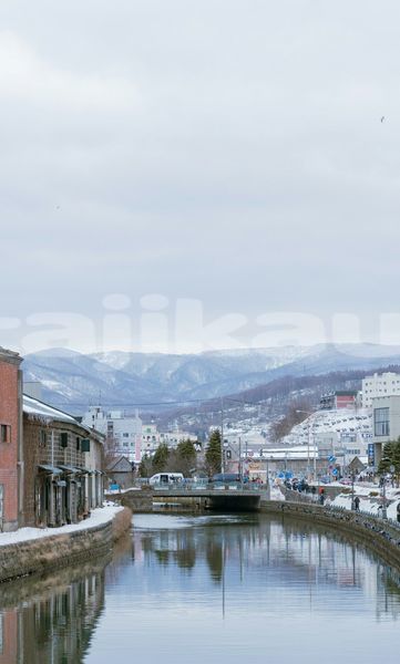 Big with watermark image