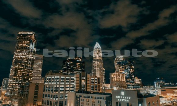 Medium with watermark image