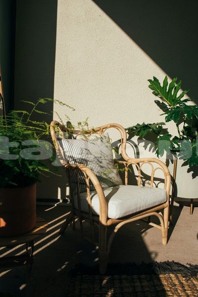 Big with watermark image