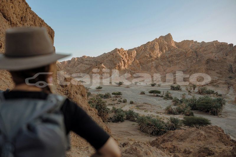 Big with watermark image