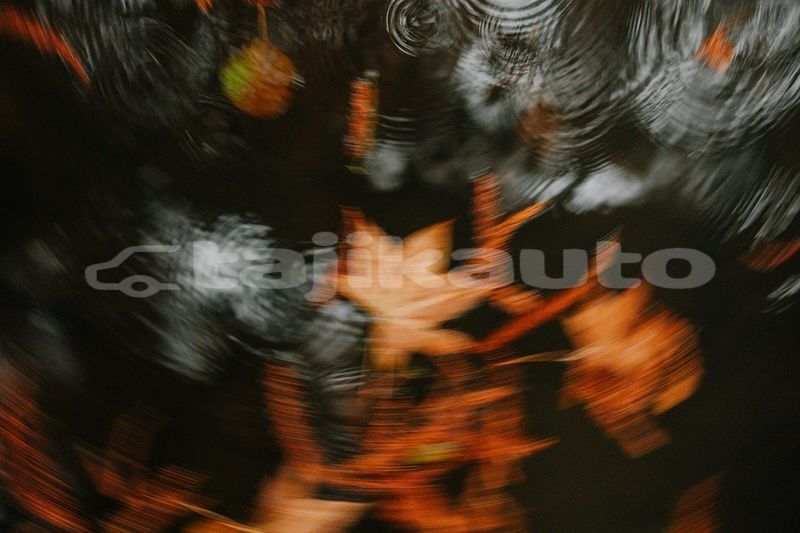 Big with watermark image