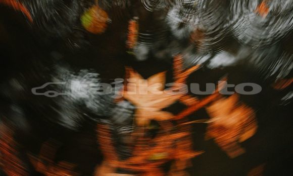 Medium with watermark image