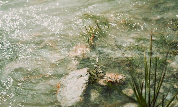 Medium with watermark image