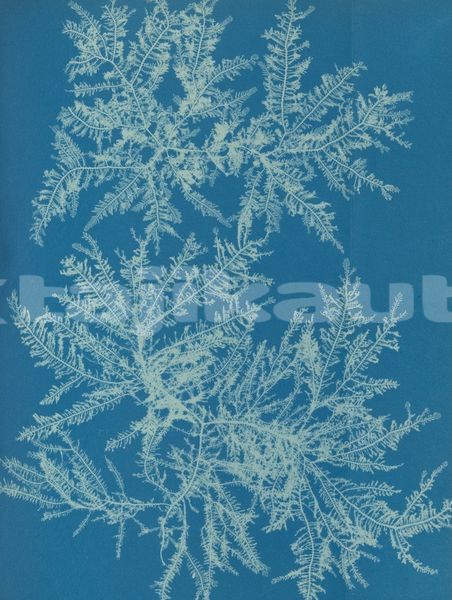 Big with watermark image