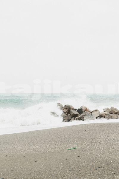 Big with watermark image