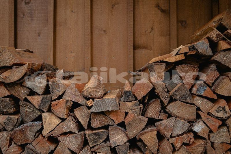 Big with watermark image