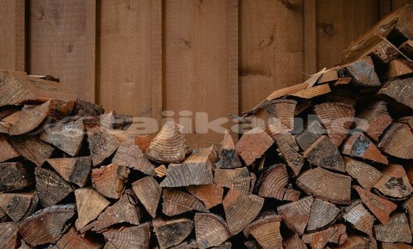 Medium with watermark image