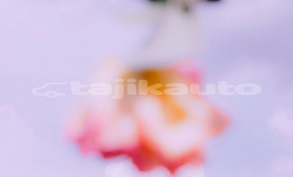 Medium with watermark image