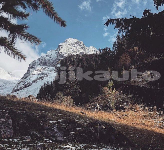 Big with watermark image