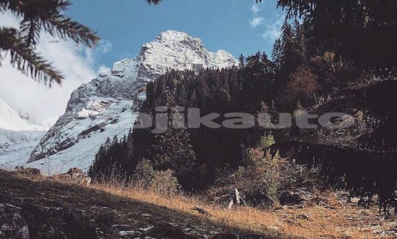 Medium with watermark image